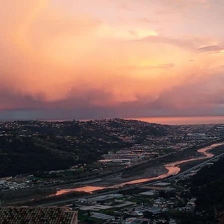 شقة 3 Pieces Dans Le Ciel Gattières المظهر الخارجي الصورة